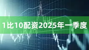 1比10配资　　2025年一季度