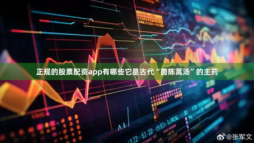 正规的股票配资app有哪些它是古代“茵陈蒿汤”的主药