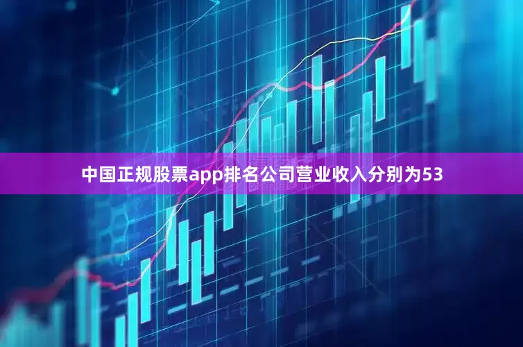 中国正规股票app排名公司营业收入分别为53