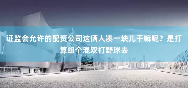 证监会允许的配资公司这俩人凑一块儿干嘛呢？是打算组个混双打野球去